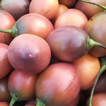 树蕃茄云南也叫鸡蛋果对接商超批发市场一件。
