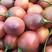 树蕃茄云南也叫鸡蛋果对接商超批发市场一件代发。