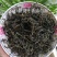 干香椿芽2020年新货产地直批