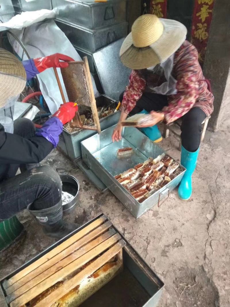 巢蜂蜜/蜂蜜，质量好价格便宜，长期都有货，需要的老板联系