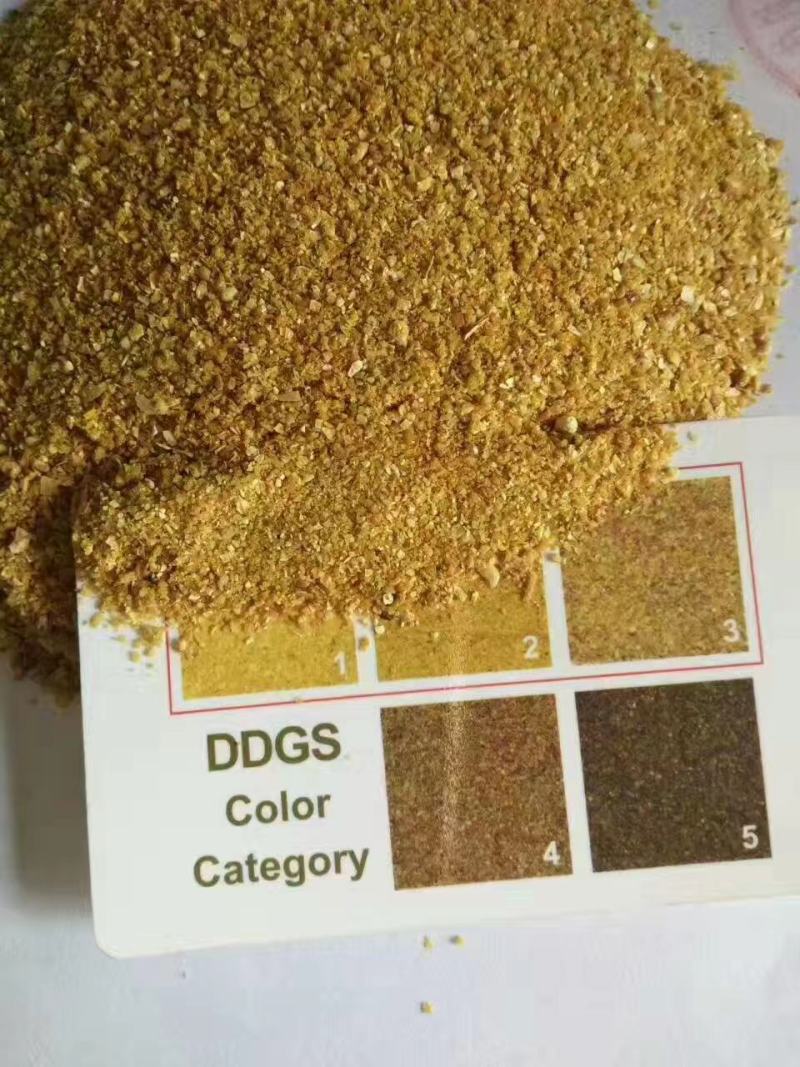 厂家直销玉米酒糟DDGS，质量稳定，价格美丽。