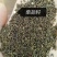 柴胡籽纯新籽北柴胡发芽率高