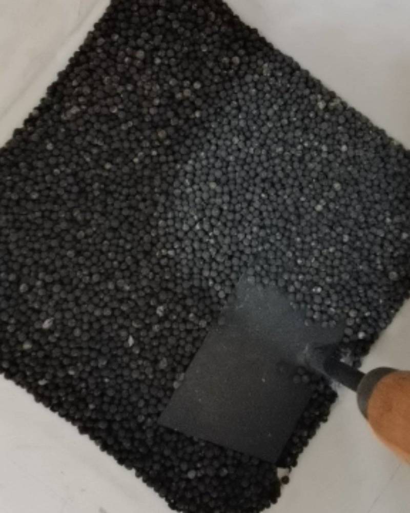 文竹种子，盆栽文竹种子出货，欢迎一亩田客户前来选购
