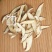 【万家合源南北干货特卖会】香菇片