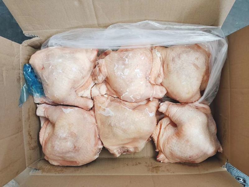 鹌鹑，适合批发电商团购，社区，加工厂，放血不放血