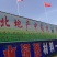 柴胡籽纯新籽北柴胡发芽率高