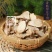 【万家合源南北干货特卖会】香菇厚片