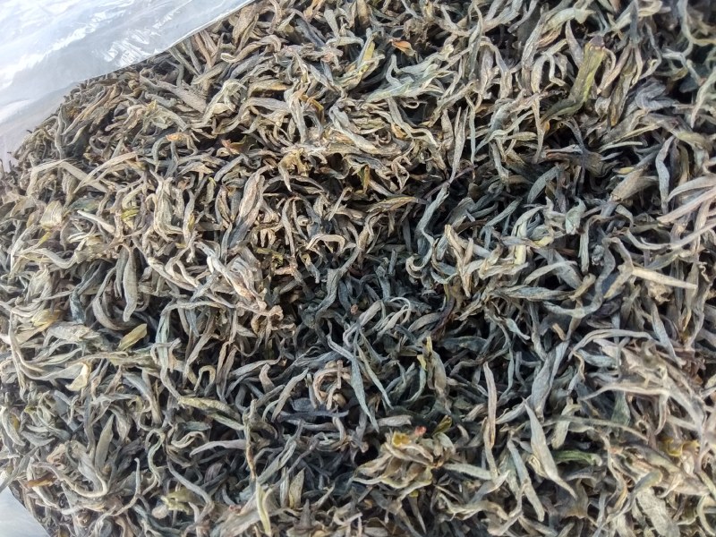 普洱茶，春茶，纯手工加工