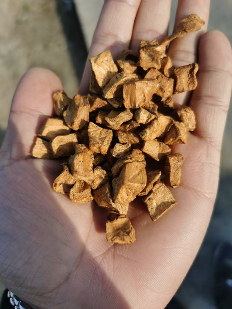菊苣根茶玉兰根茶野生菊苣根茶