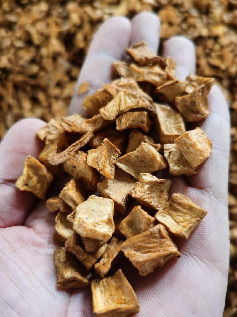 菊苣根茶玉兰根茶野生菊苣根茶