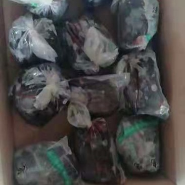 乌鸡，适合电商平台批发团购社区