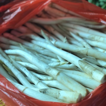 新鲜象牙菜雪白嫩草芽