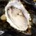 乳山生蚝整箱6斤鲜活生蚝新鲜带壳海蛎子贝类海鲜水产