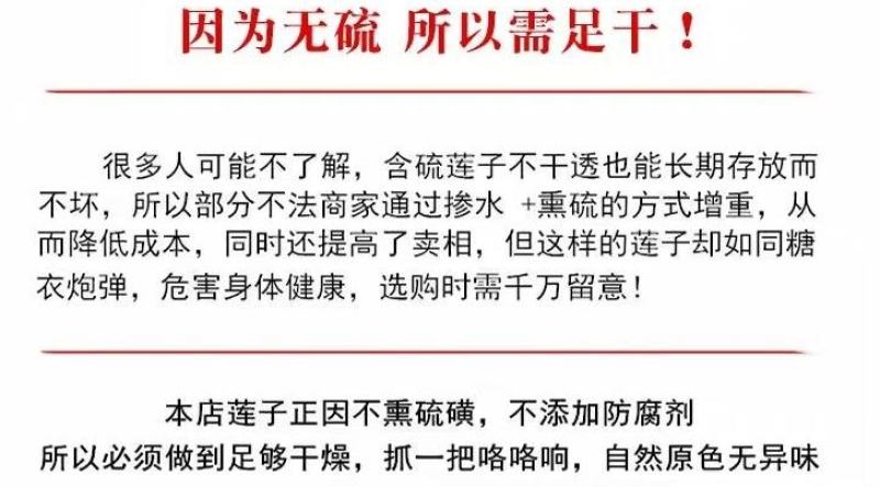 新货广昌莲子干货无硫特优级粉糯白莲子产地莲子一件代发