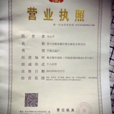 毛桃种子，嫁接各种桃树苗，大量供货，量大从优