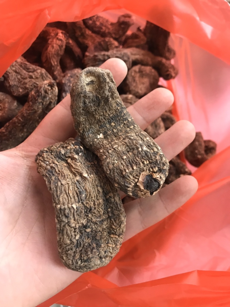 黑天麻乌天麻云南产地直销乌天麻
