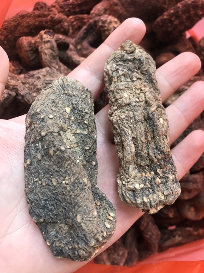 黑天麻乌天麻云南产地直销乌天麻