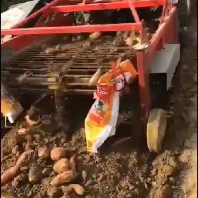 自走式抖土干净土豆收获机胡萝卜洋葱收获机不破皮挖马铃薯机