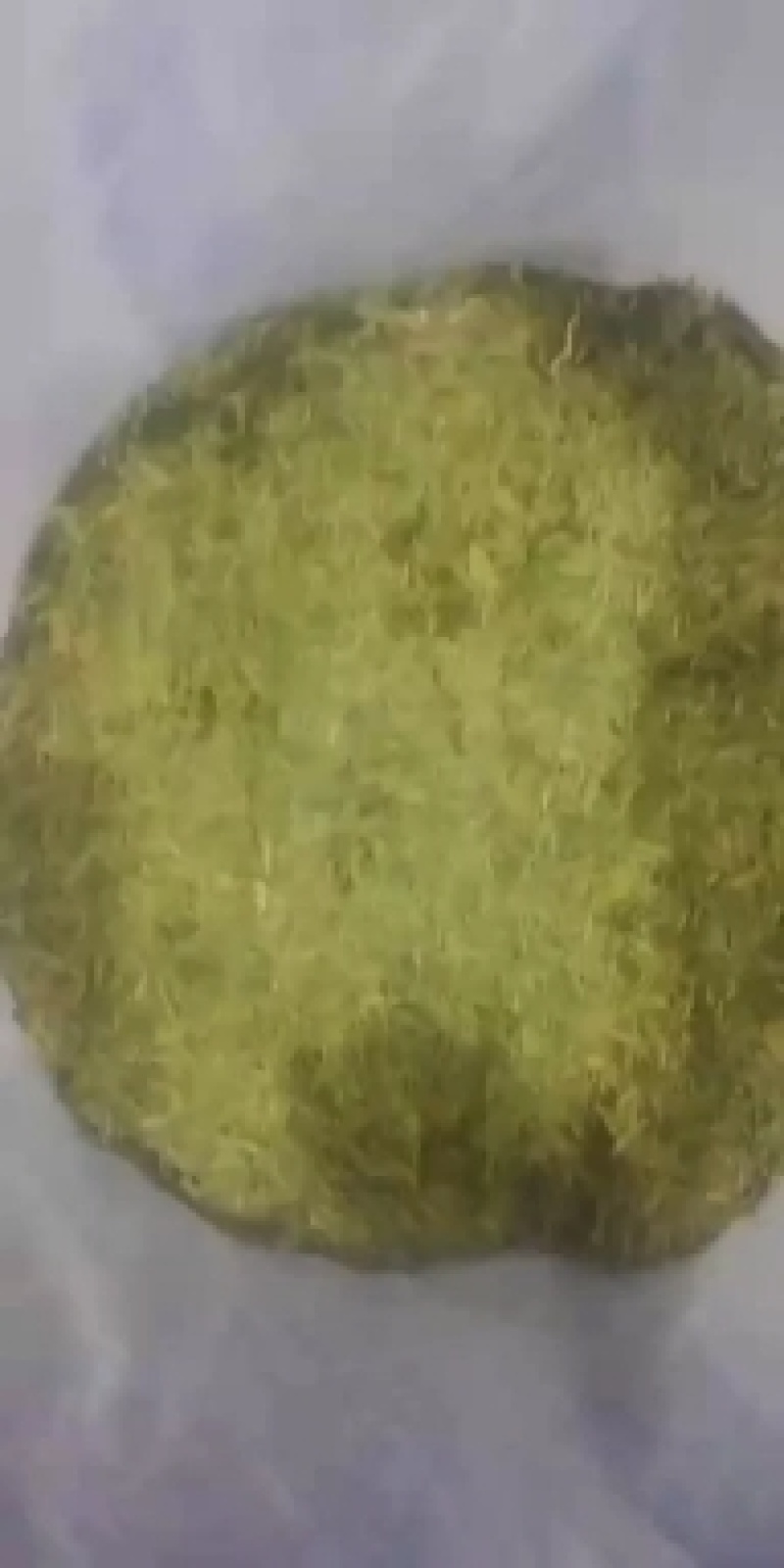 磐安高山龙井，质量优越