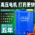 【厂家包邮】智能锂电池电动喷雾器农用农药高压充电打药机
