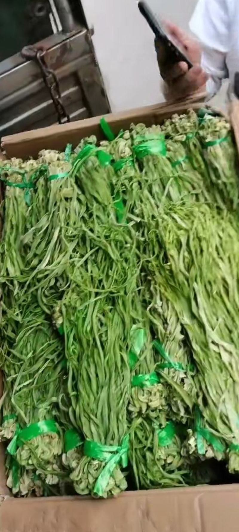贡菜各种规格