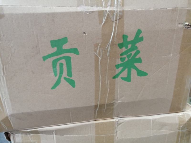 贡菜各种规格