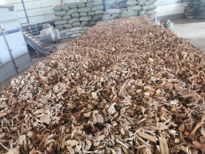 羊开口野牡丹根小花瓶根羊开口羊开口根