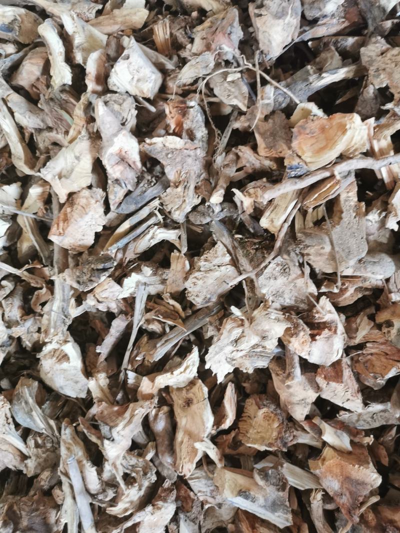 羊开口野牡丹根小花瓶根羊开口羊开口根