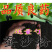 中药材蚕沙粉蚕沙枕头蚕砂枕原料散装包邮