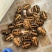 繁殖留种稳产南石，煲汤老龟，公母都有，可搭配养殖