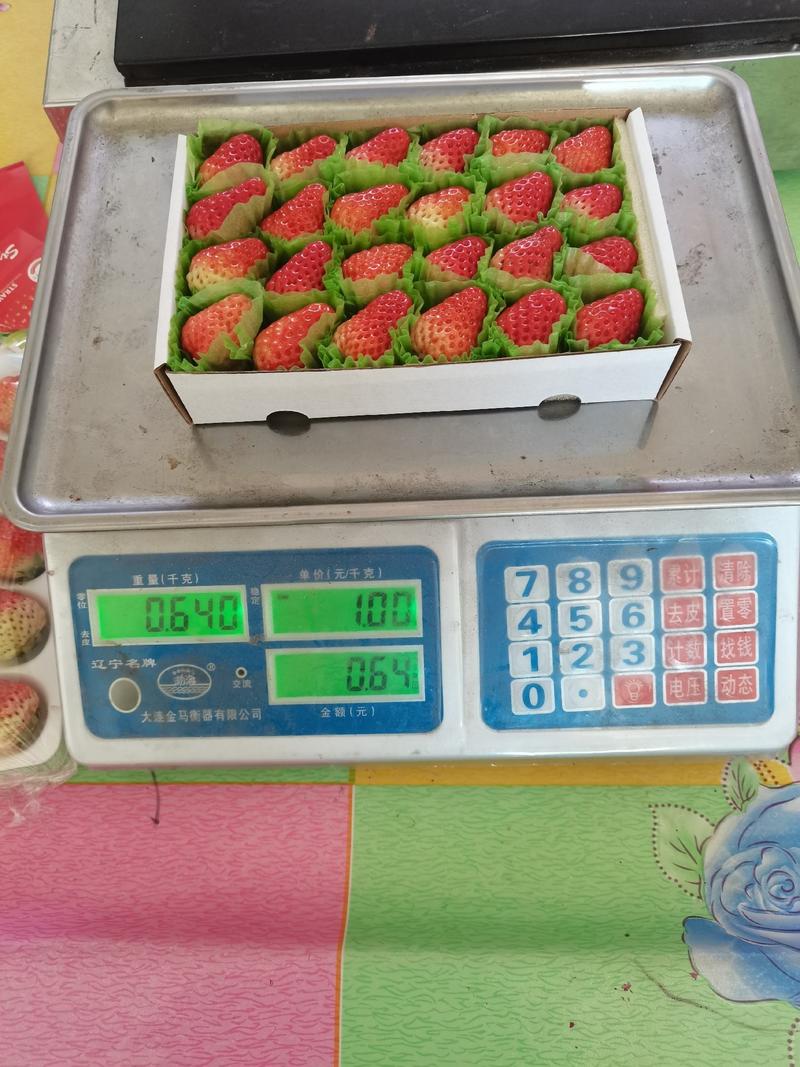 丹东红颜九九草莓烘焙纸盒巧克力包装大量上市