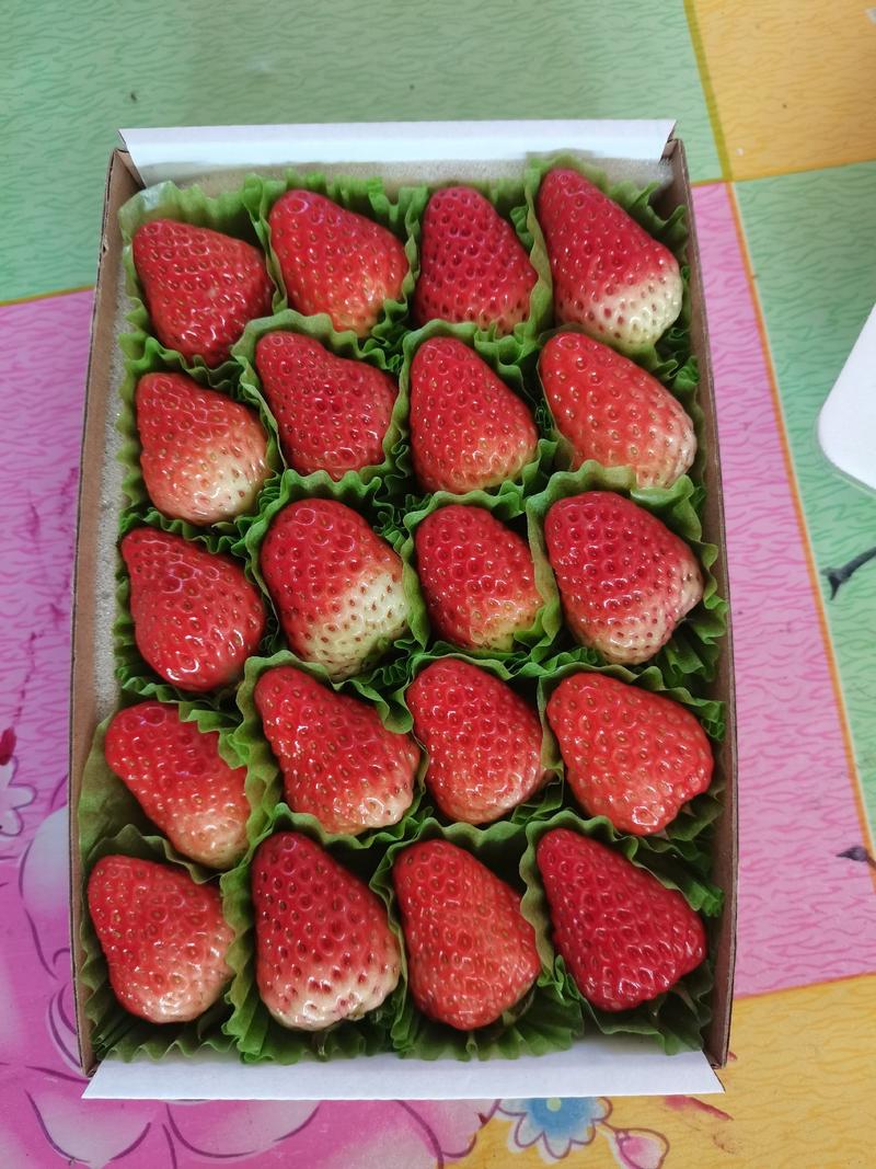 丹东红颜九九草莓烘焙纸盒巧克力包装大量上市