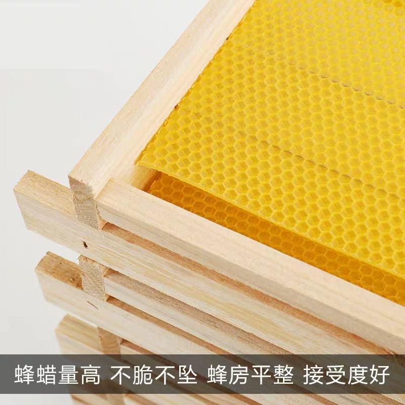 成品巢框装好巢础带巢框一体10个装中蜂巢脾蜜蜂巢础巢框蜂