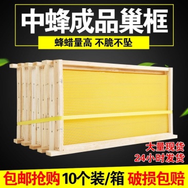 成品巢框装好巢础带巢框一体10个装中蜂巢脾蜜蜂巢础巢框蜂