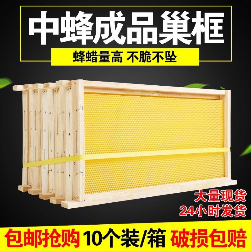 成品巢框装好巢础带巢框一体10个装中蜂巢脾蜜蜂巢础巢框蜂