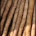 万亩精品小白嘴白山药,日供货量达到5-10万斤,全年接单出货