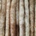 万亩精品小白嘴白山药,日供货量达到5-10万斤,全年接单出货