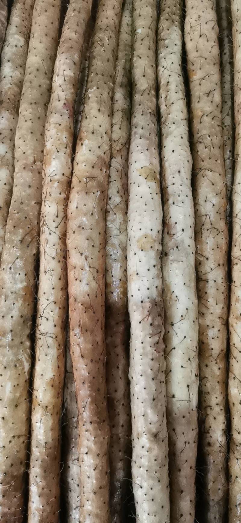 万亩精品小白嘴白山药，日供货量达到5-10万斤，全年接单出货