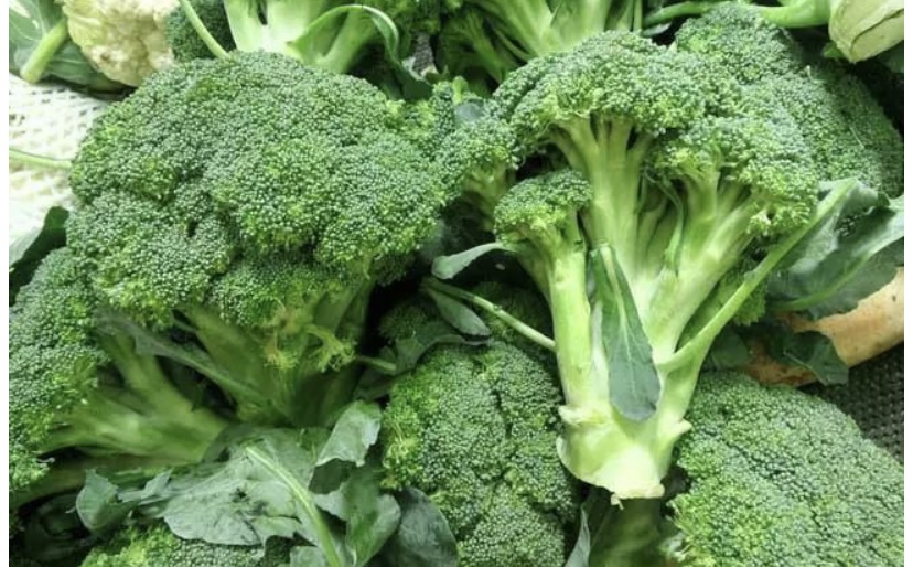 新鲜西兰花与变质西兰花对比图