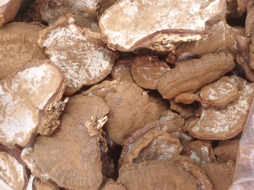 竹灵芝成品切片与提取物对比图