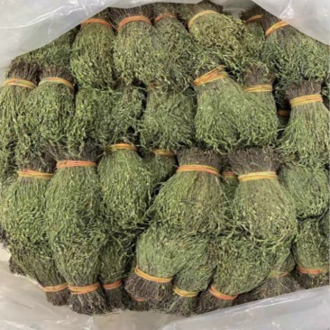 独脚金，颜色绿，干度好，一手货源，长期有货