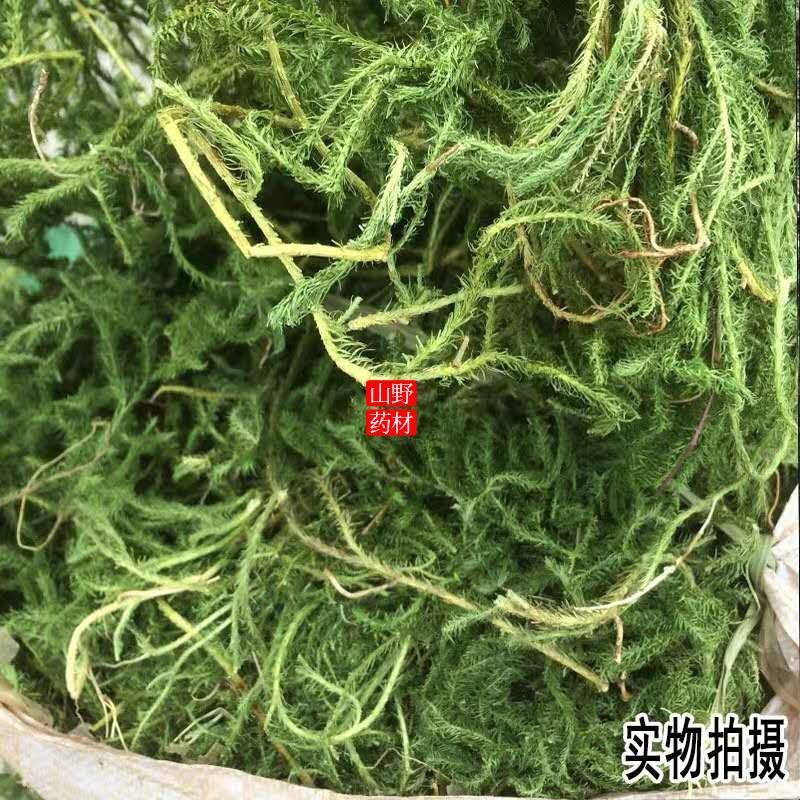 云南野生药材伸筋草500g包邮