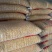 玉米饲料玉米干玉米粒净货量大从优优质玉米货源充足全国发货