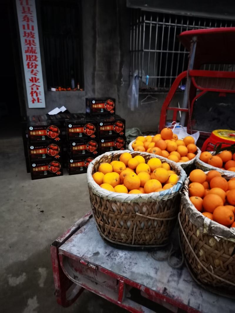 重庆市垫江县绿色食品认证的东山坡血脐10斤顺丰包邮坏果包
