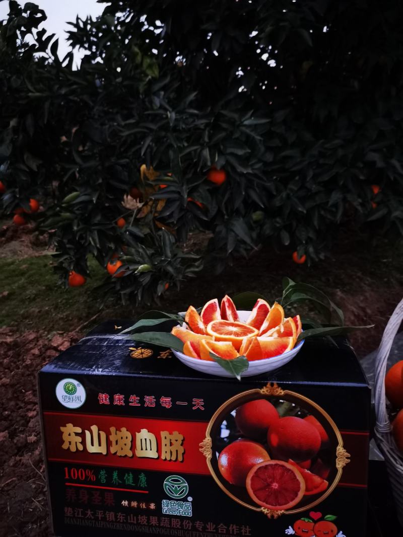 重庆市垫江县绿色食品认证的东山坡血脐10斤顺丰包邮坏果包
