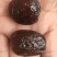 乐陵水晶蜜枣一件批发量大优惠