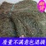 广西田基黄精选正宗山间谷草野生田基黄500g地耳草