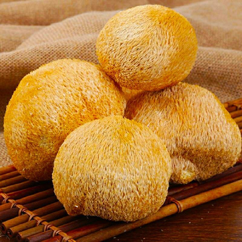 猴头菇农家特产养胃食用菌猴头菇（干货包邮）
