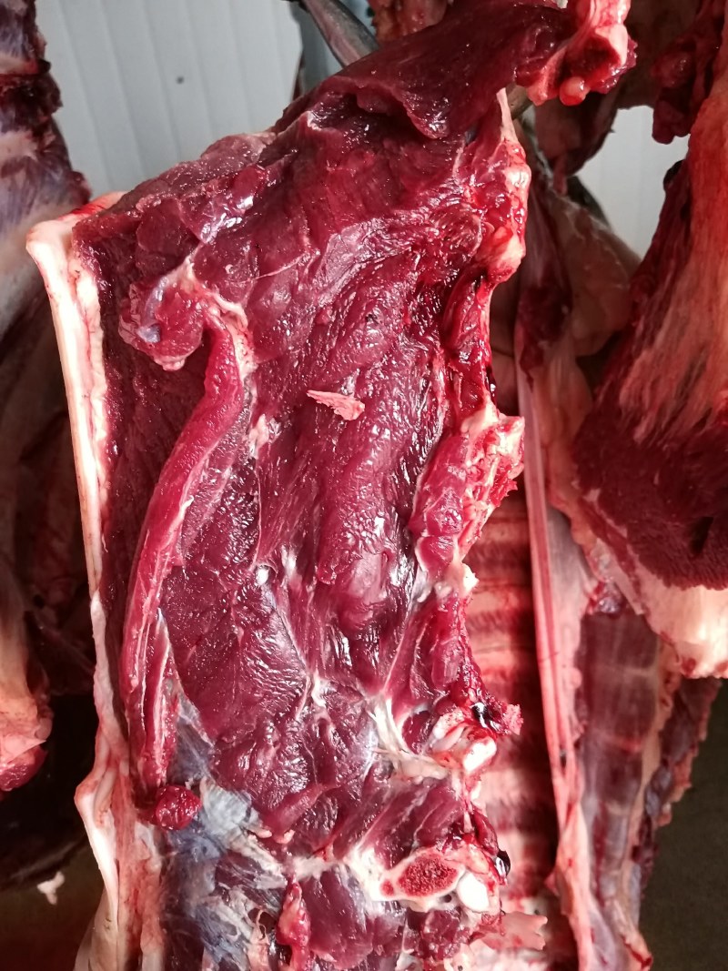 马肉，带皮现杀鲜马肉，不注水，养殖场一首货源，扒皮带皮