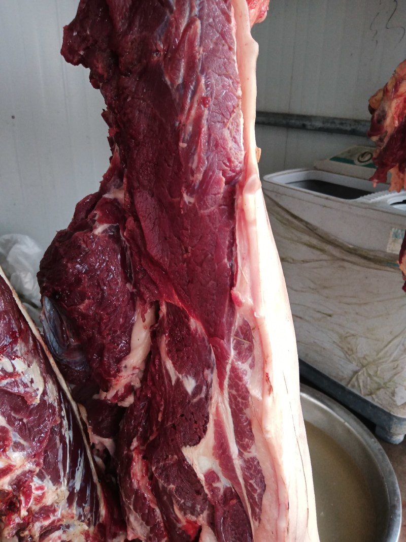 马肉，带皮现杀鲜马肉，不注水，养殖场一首货源，扒皮带皮